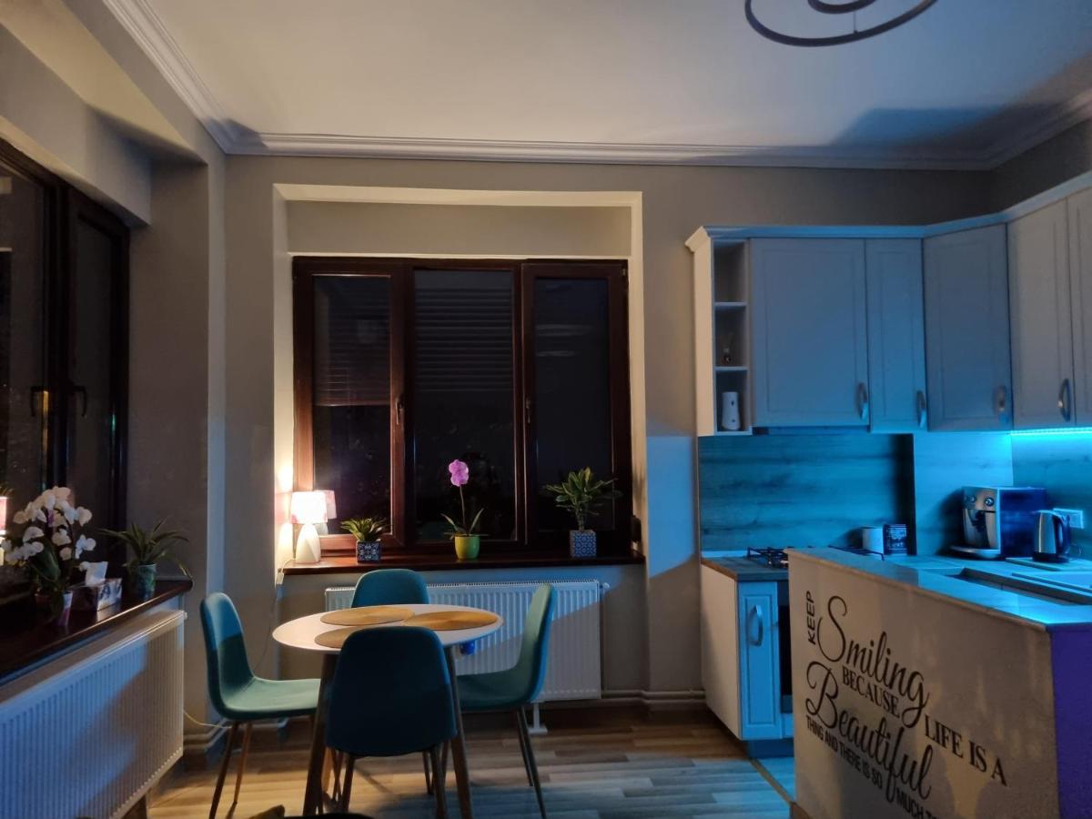 City Center Dream Apartment Timișoara Zewnętrze zdjęcie