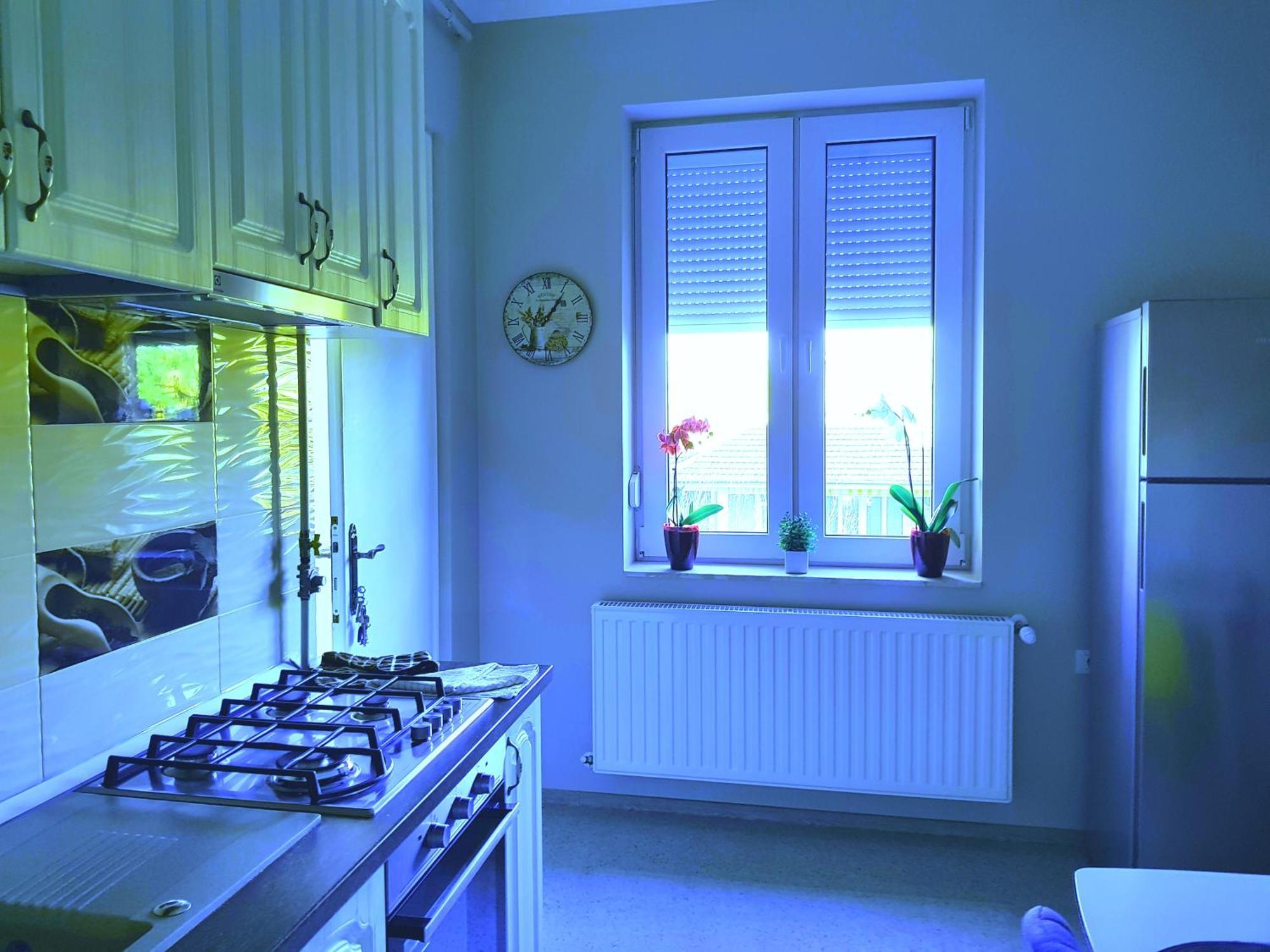 City Center Dream Apartment Timișoara Zewnętrze zdjęcie